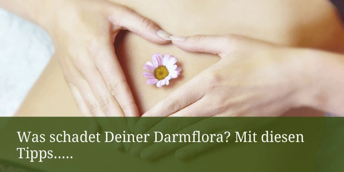 Was schadet Deiner Darmflora
