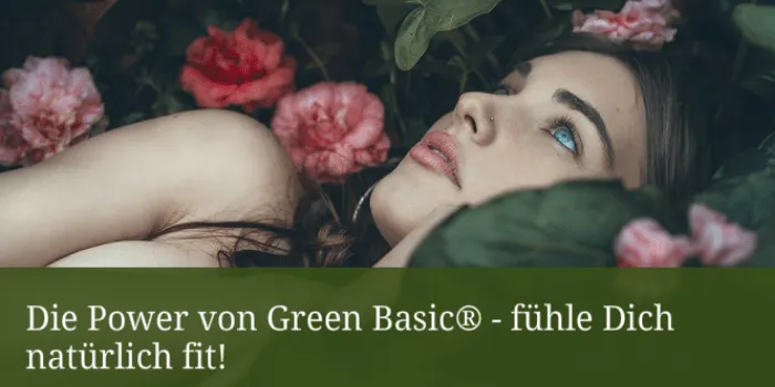 Die Power von Green Basic