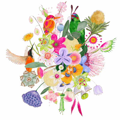 Microflorana direct