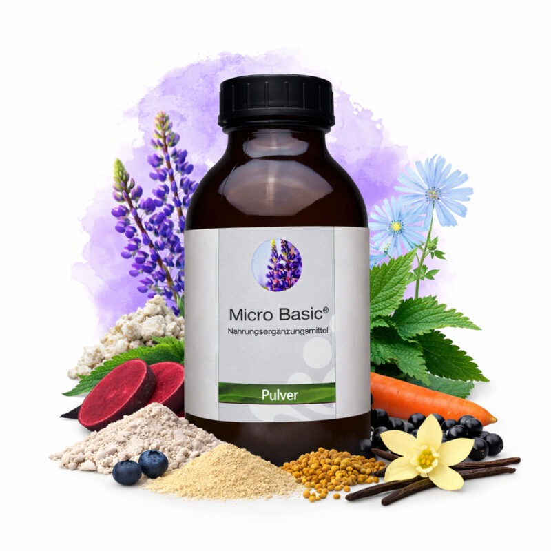 MicroBasic Pulver