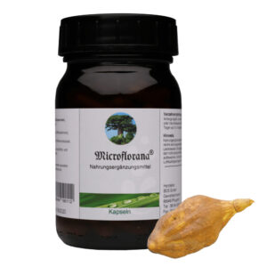 Microflorana Kapseln
