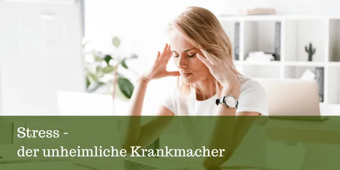 Stress - der unheimliche Krankmacher- Vitalität