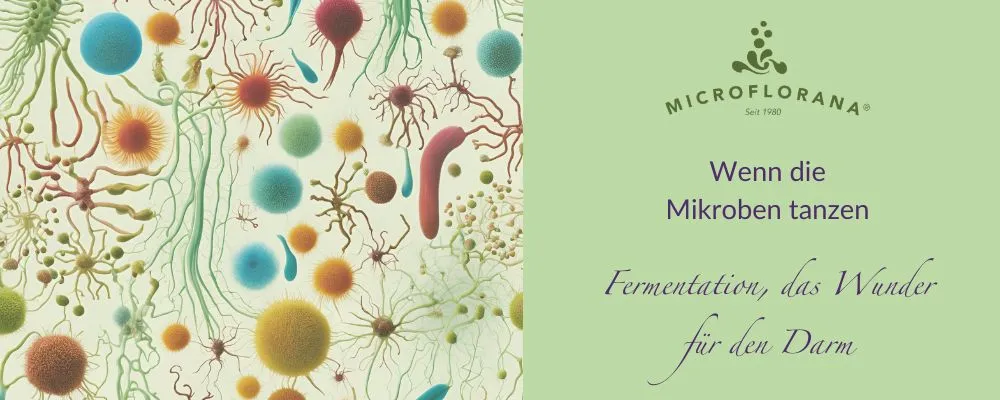 Verdauungsfördernde Lebensmittel