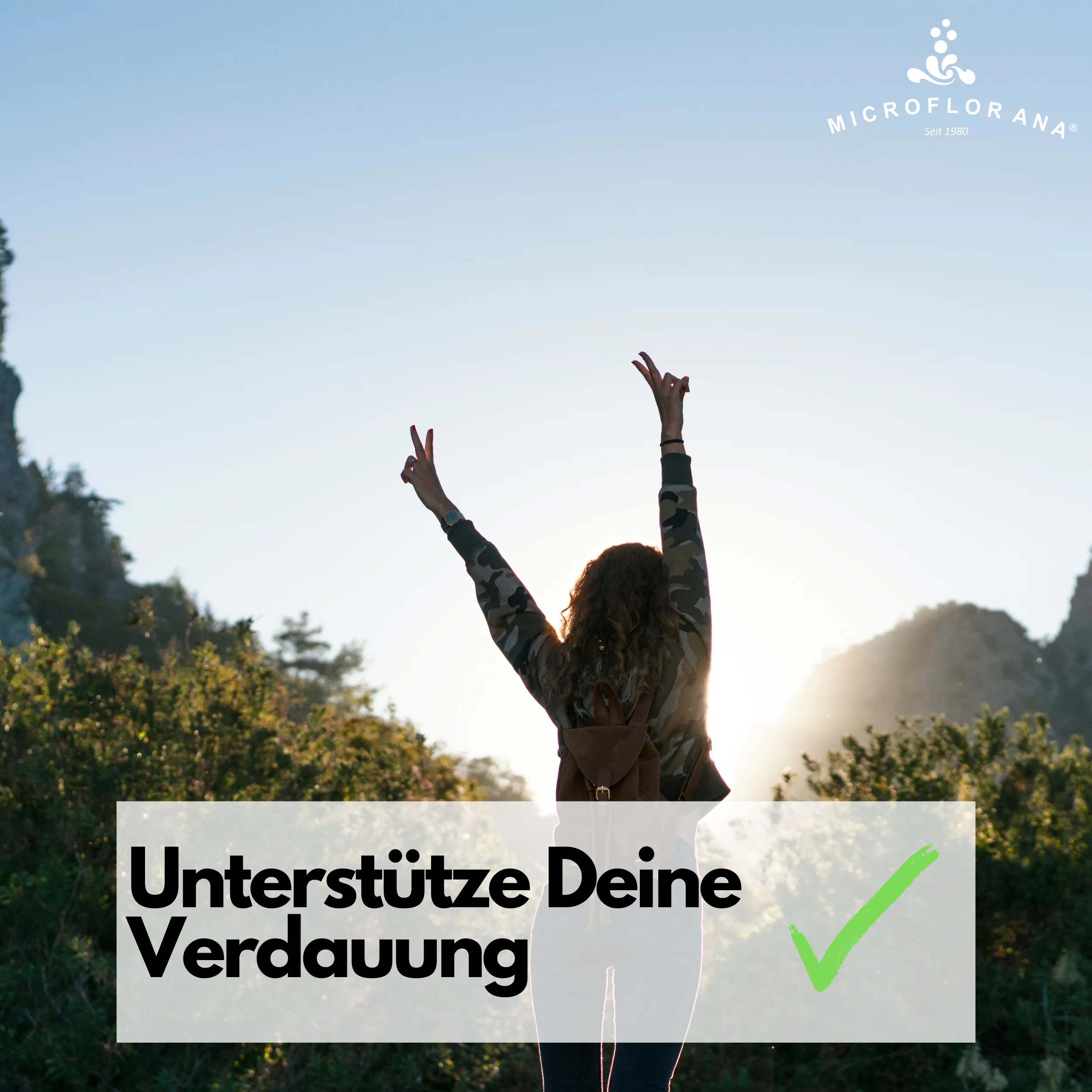 Flohsamenschalen für Dein Wohlbefinden