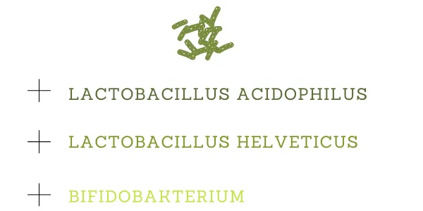 Darmbakterien 3 verschiedene