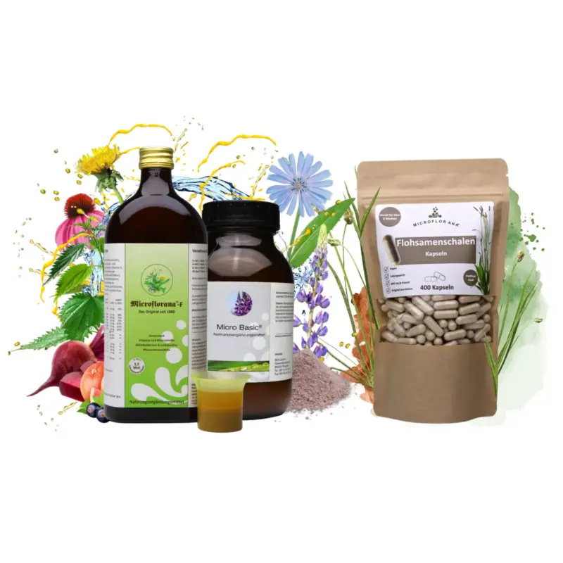 Darmsanierung für 4 Wochen – Darm-Balance Paket