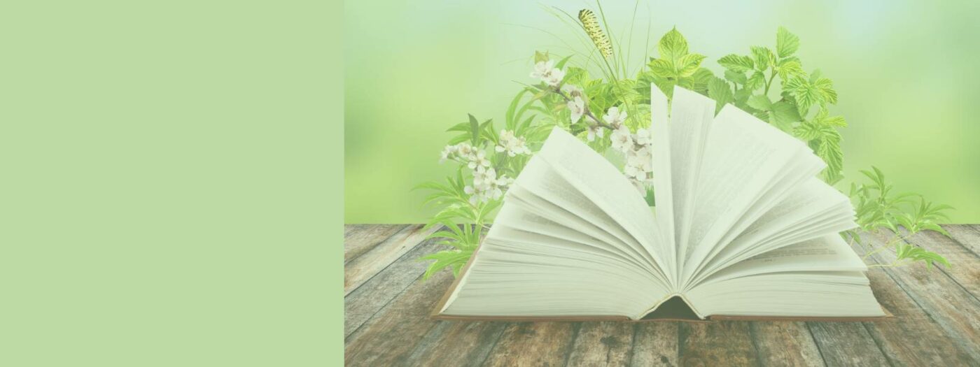 Bücher und Ratgeber