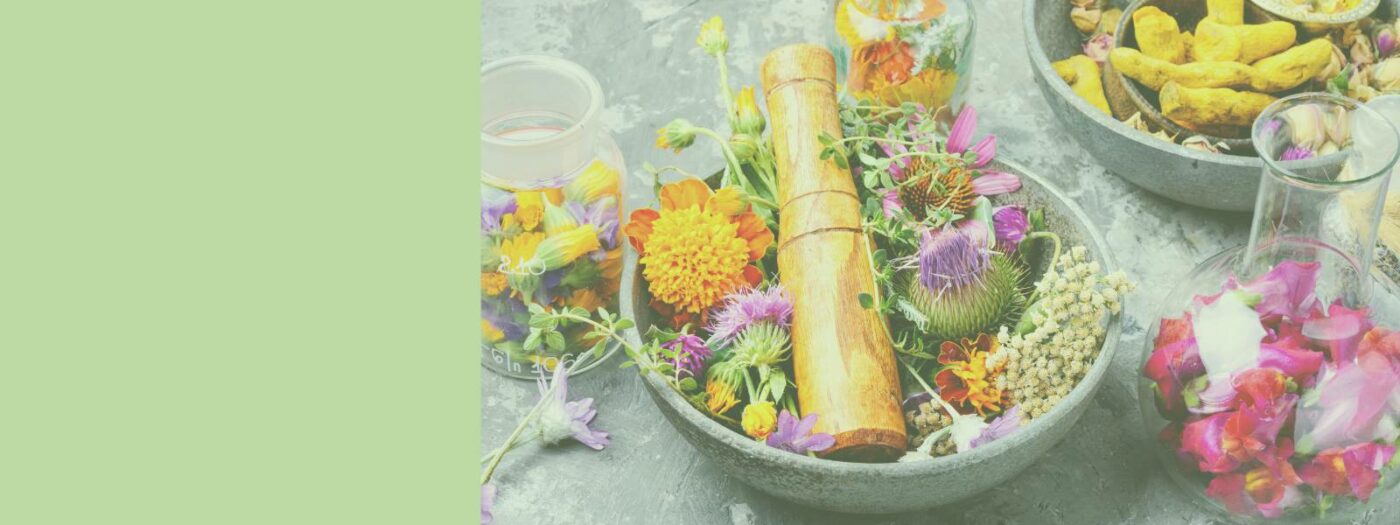 Innovativ durch Forschung Innovativ durch Forschung