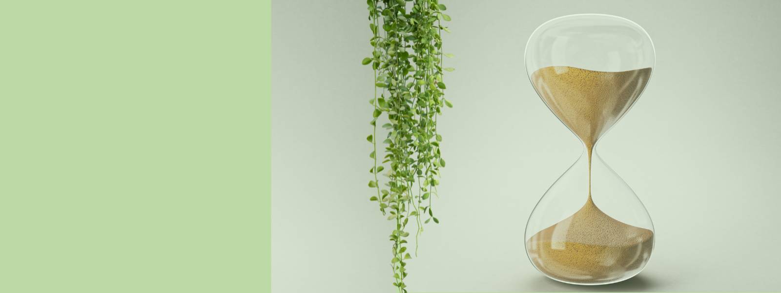 Termine bei Microflorana