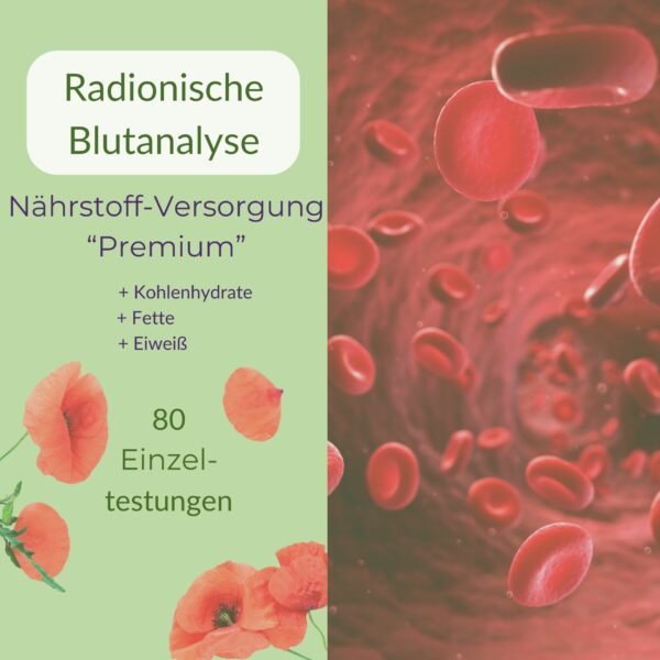 Radionische Blutanalyse Nährstoff-Versorgung Premium