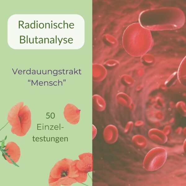 Radionische Blutanalyse Der Verdauungstrakt (Mensch)