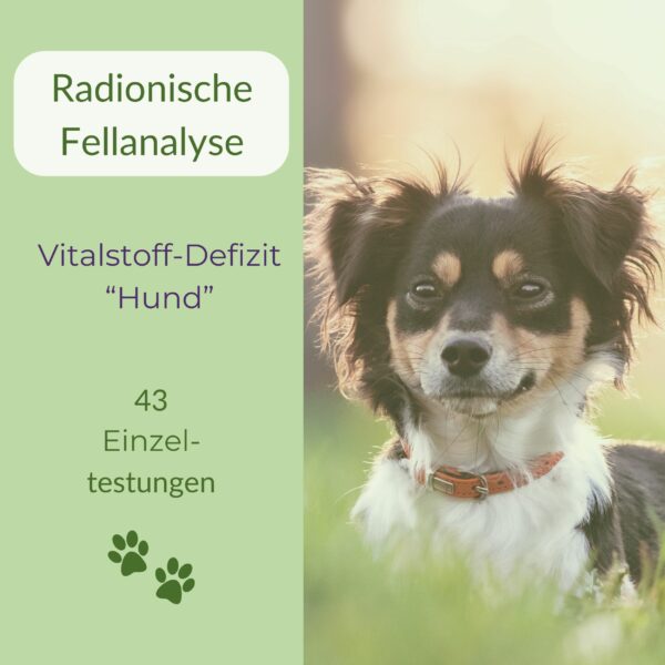 Radionische Fellanalyse Hund