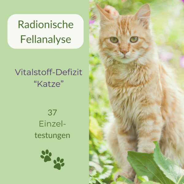 Radionische Fellanalyse Katze