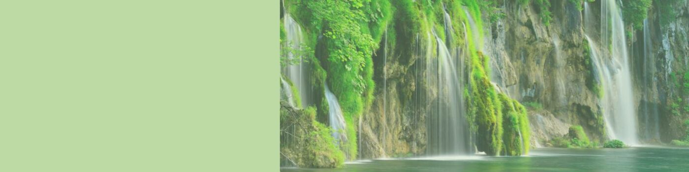 Vitalstofftest Entgiften