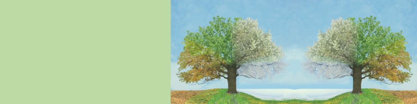 Vitalstofftest Erneuerung