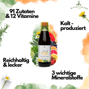 Novo Qi Vitamine