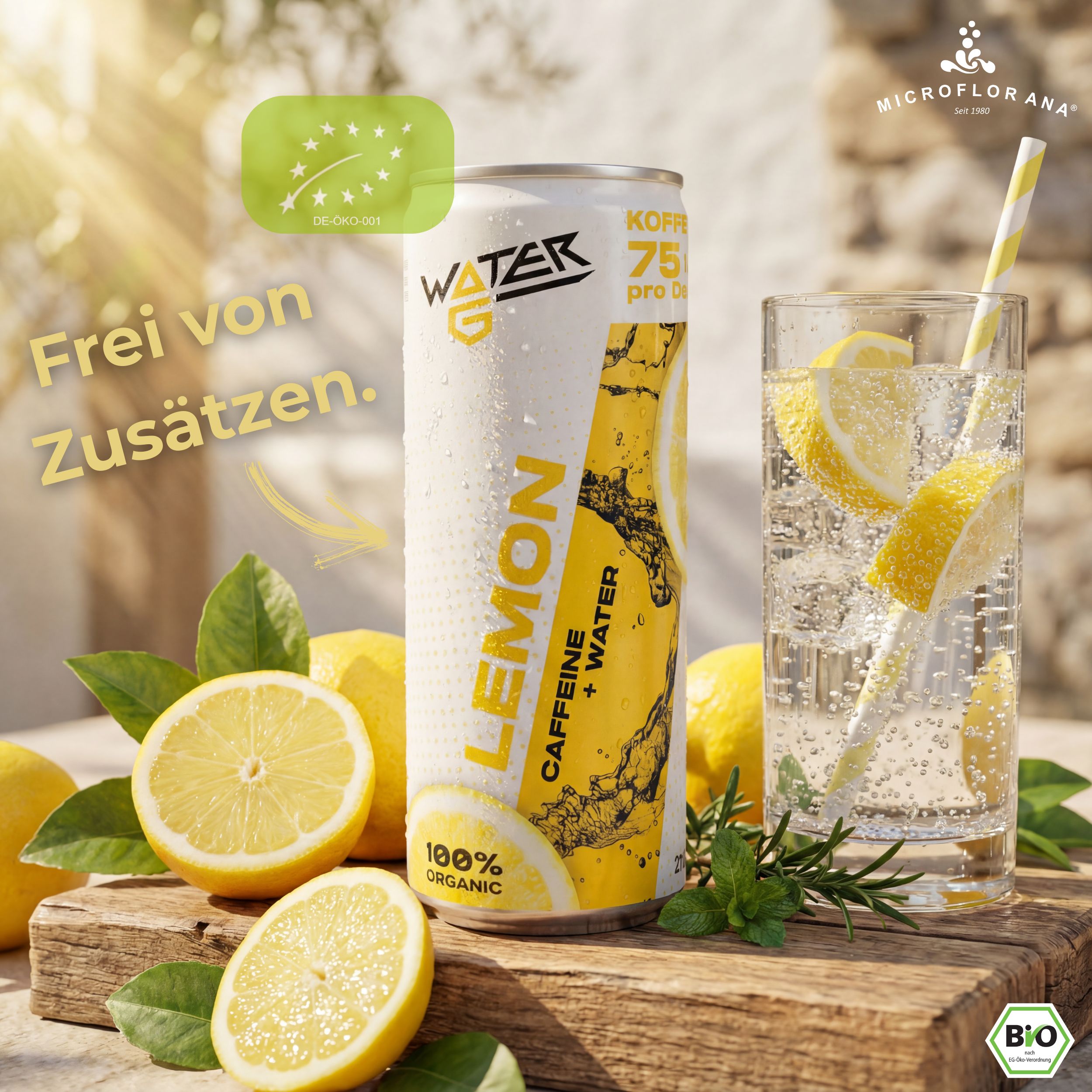 Koffeinwasser Water-G