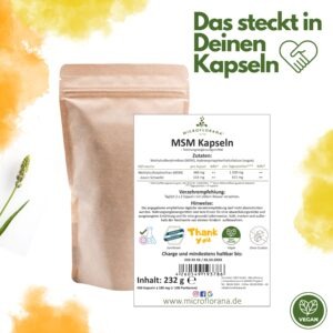 MSM Kapseln