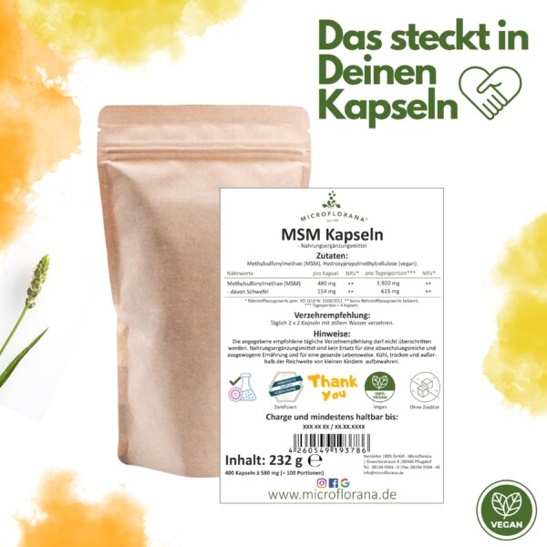 MSM Kapseln