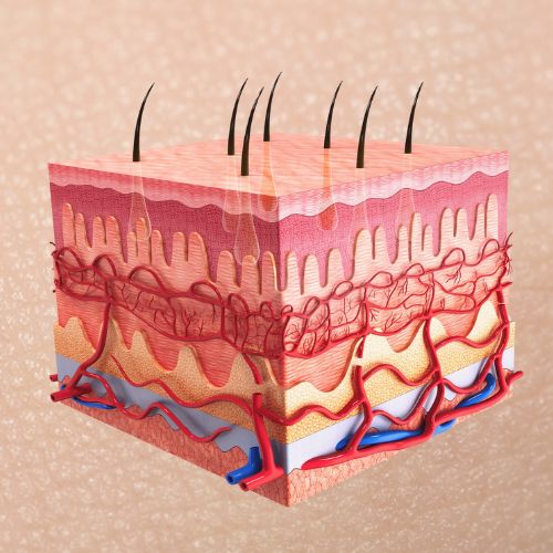 Pflege für die reife Haut