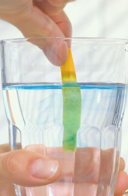 Entsäuerung - pH Wert