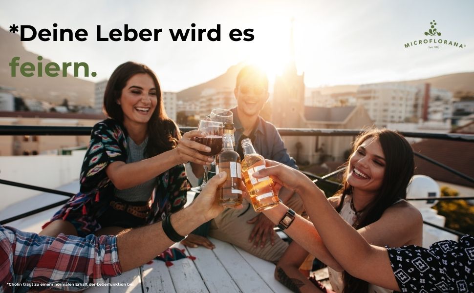 Mariendistel Kapseln