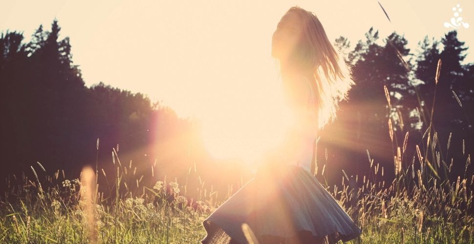 Mariendistel Komplex