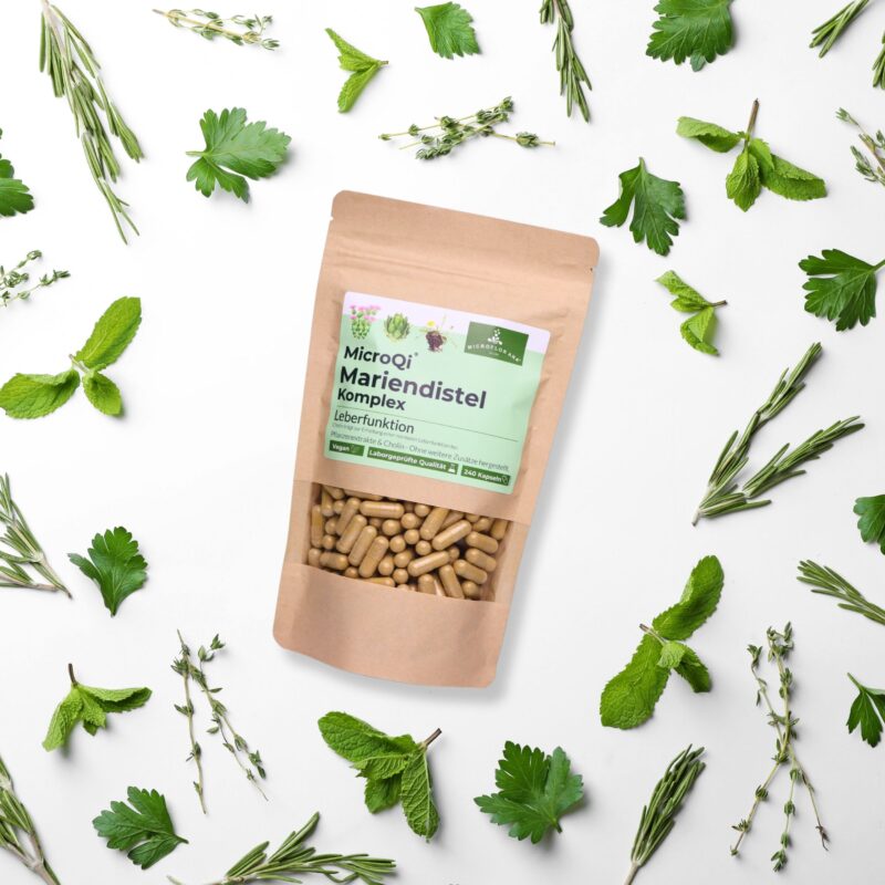 Mariendistel Leber Kapseln