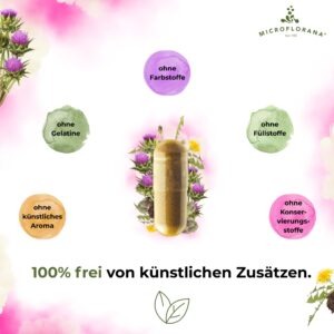 Mariendistel Komplex - Leber Komplex