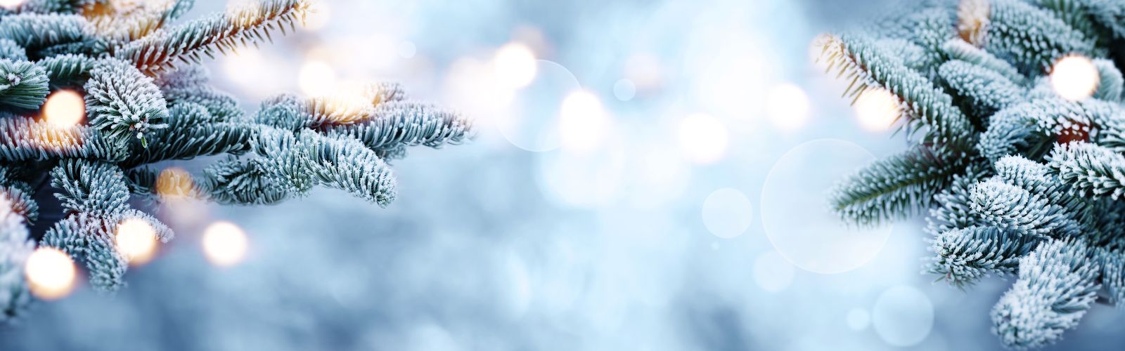 Microflorana Weihnachten Hintergrund