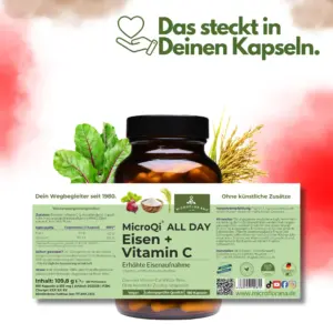 Eisen Vitamin C Kapseln - Inhalt