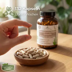 Flohsamenschalen 132 Kapseln lange Reichweite