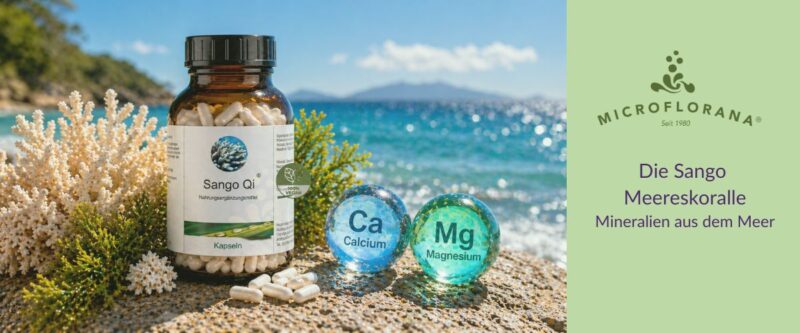 Sango Meereskoralle - Natürliches Calcium und Magnesium